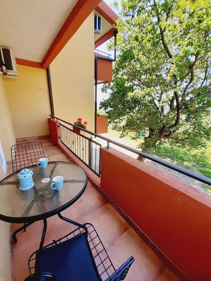Apartment Macic Dub I Котор Екстериор снимка