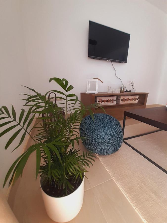 Apartment Macic Dub I Котор Екстериор снимка